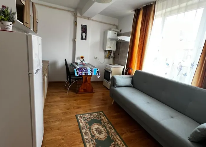 Scc * 클루지나포카